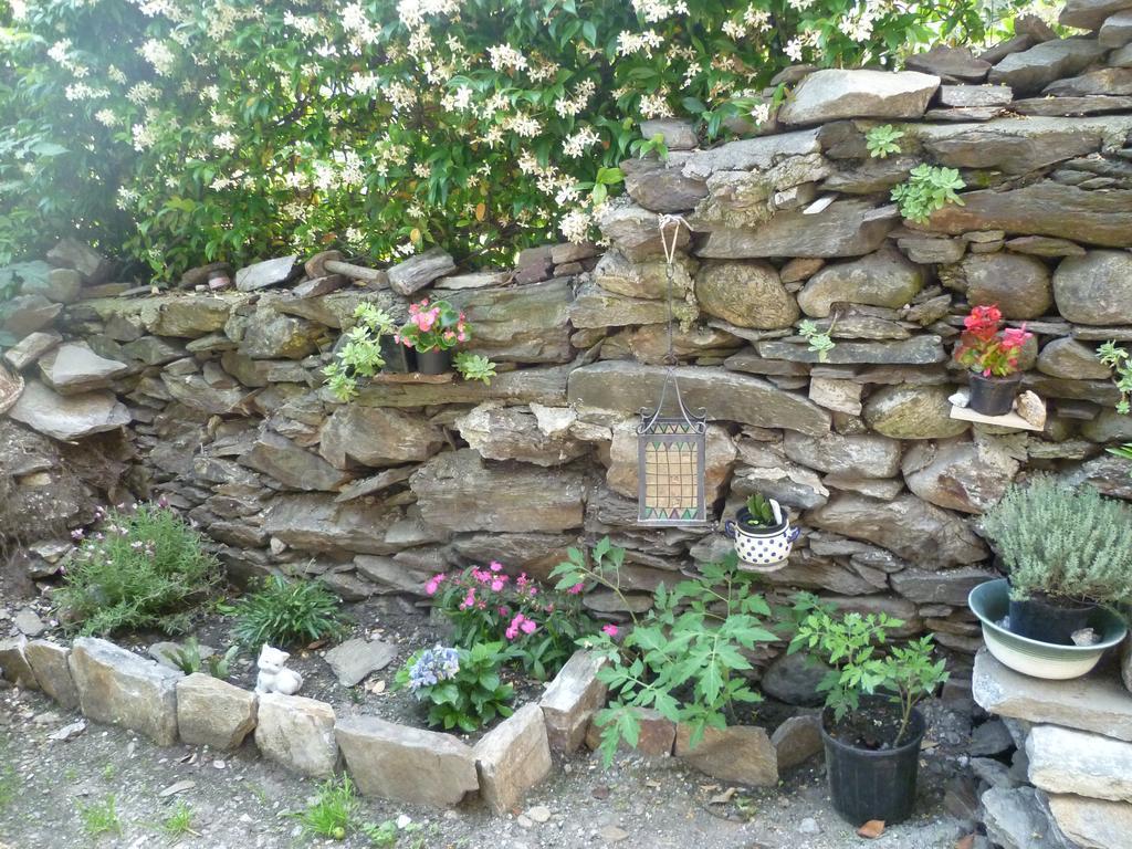B&B Il Castello Lago Maggiore Con Terrazza Cossogno ภายนอก รูปภาพ