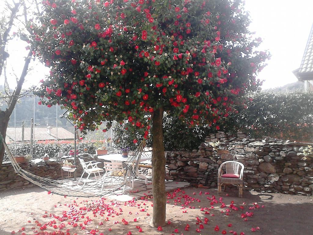 B&B Il Castello Lago Maggiore Con Terrazza Cossogno ภายนอก รูปภาพ