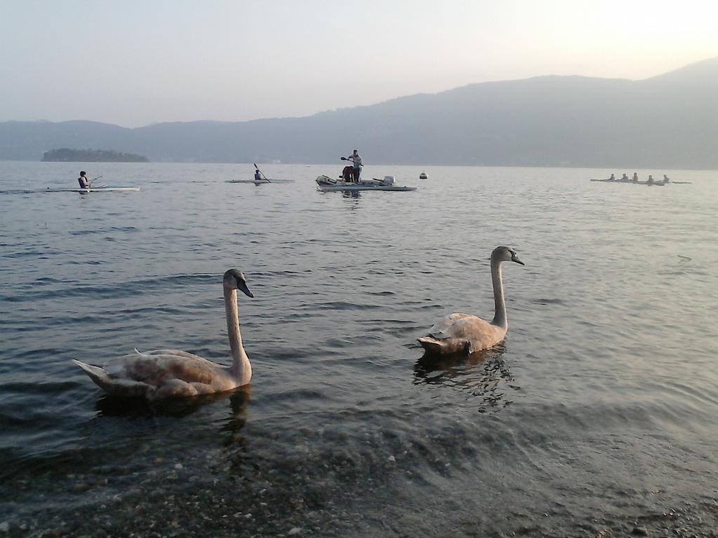 B&B Il Castello Lago Maggiore Con Terrazza Cossogno ภายนอก รูปภาพ